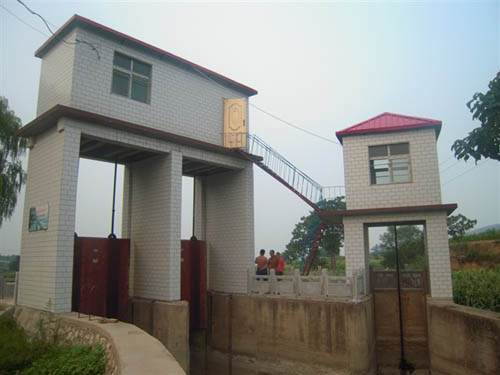 P(gun)چ]C(j)˽